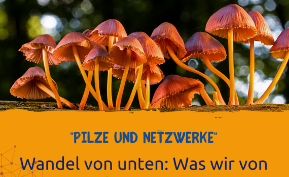 kleine braune Pilzhüte und Text "Pilze und Netzwerke Wandel von untern: was wir von Pilzen lernen können